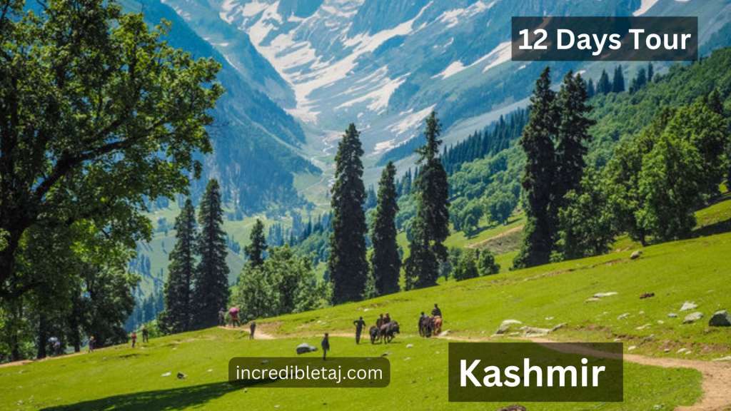Kashmir Honeymoon Journey